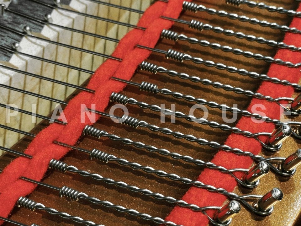 YAMAHA GB1K FP - Ảnh thực tế 8